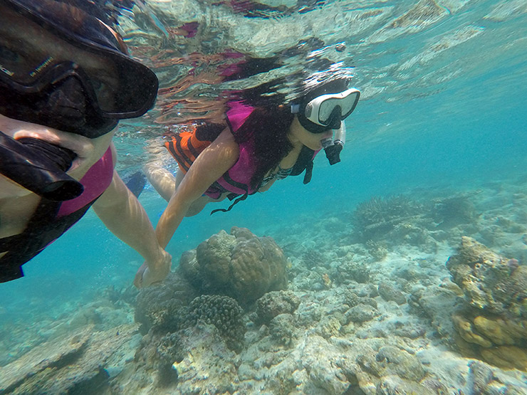 Snorkeling Maldives
